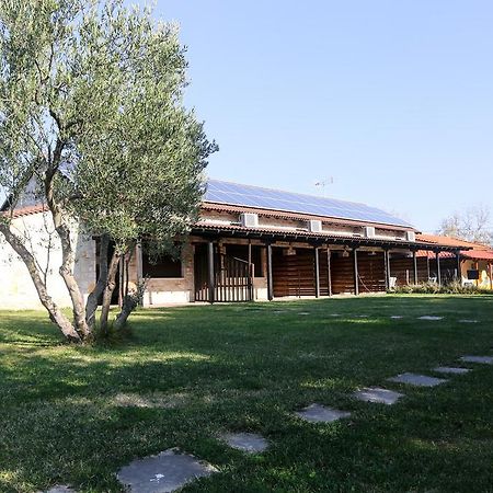 Gioulis Apartments & Studios Nea Plagia Exterior foto