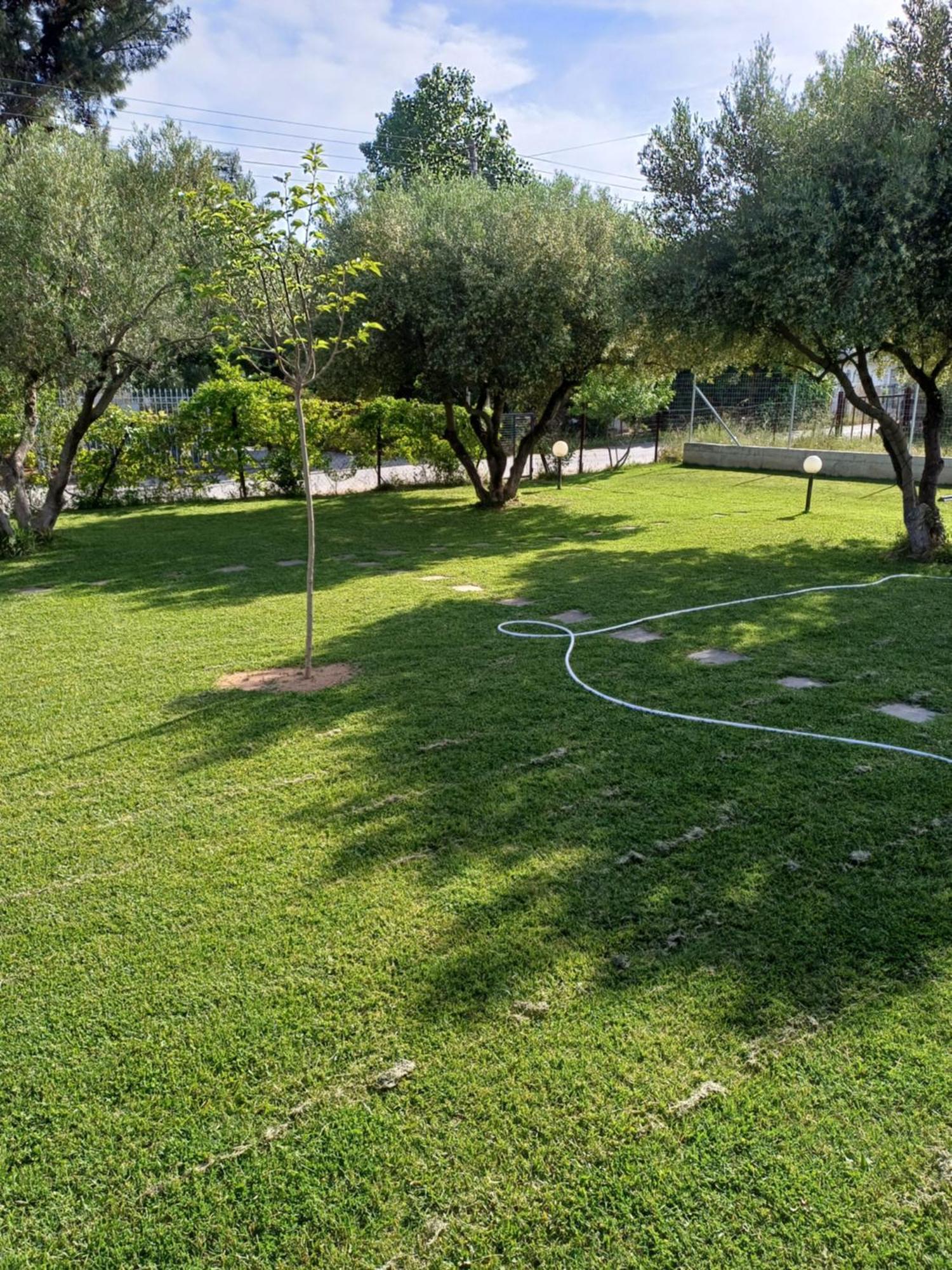 Gioulis Apartments & Studios Nea Plagia Exterior foto